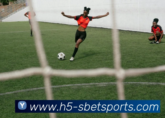 多媒体互动体验