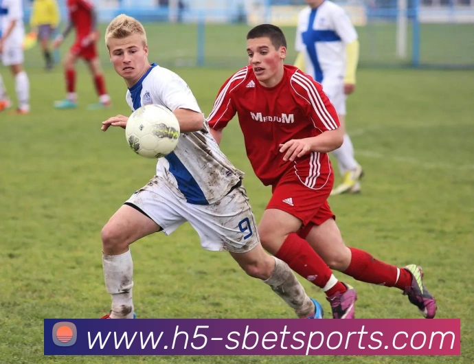 体育下注APP 高清赛事图