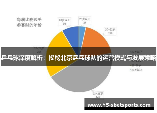乒乓球深度解析：揭秘北京乒乓球队的运营模式与发展策略