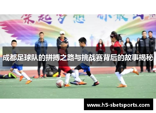 成都足球队的拼搏之路与挑战赛背后的故事揭秘